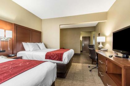 Comfort Suites Effingham - image 3
