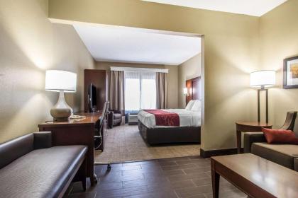 Comfort Suites Effingham - image 4