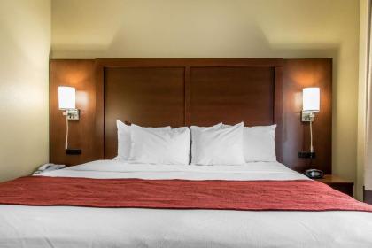 Comfort Suites Effingham - image 6