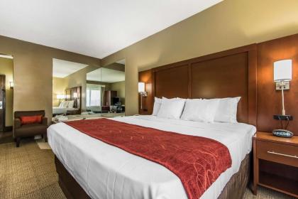 Comfort Suites Effingham - image 8
