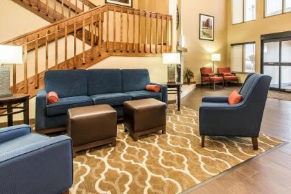 Comfort Suites Effingham - image 9