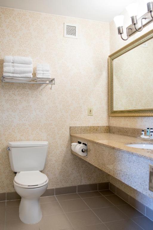 Country Inn & Suites by Radisson Effingham IL - image 2