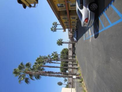 Northgate Motel - image 6
