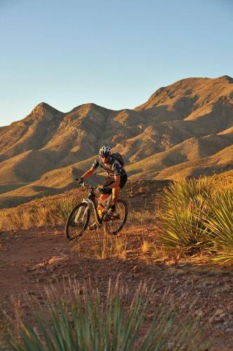 SpringHill Suites by Marriott El Paso - image 3