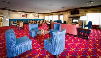 TownePlace Suites by Marriott El Paso Airport - image 4