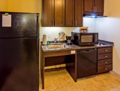 TownePlace Suites by Marriott El Paso Airport - image 5