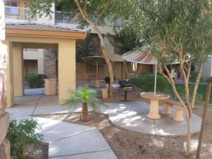 Siegel Select Casa Grande - image 15