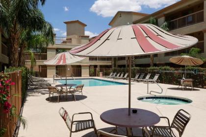Siegel Select Casa Grande - image 6