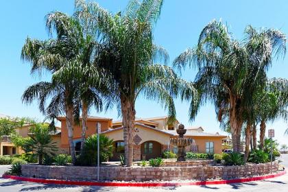 Siegel Select Casa Grande - image 9