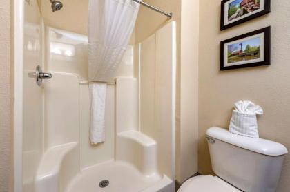 Comfort Suites North Elkhart - image 12