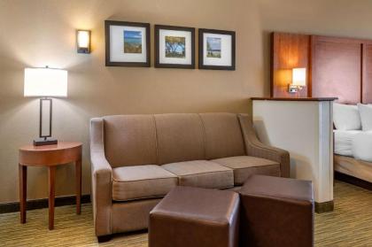 Comfort Suites North Elkhart - image 6
