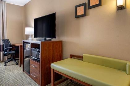 Comfort Suites North Elkhart - image 7