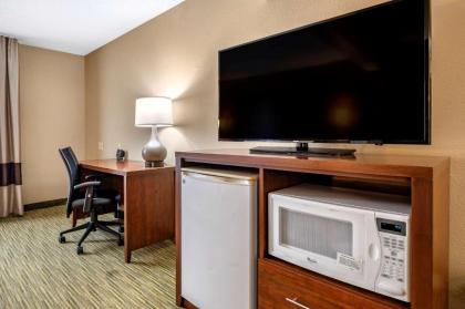 Comfort Suites North Elkhart - image 8