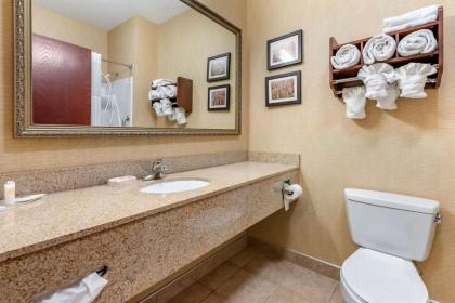 Comfort Suites South Elkhart - image 12