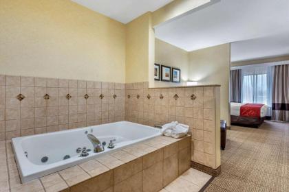 Comfort Suites South Elkhart - image 4