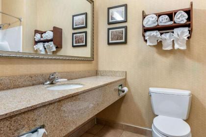 Comfort Suites South Elkhart - image 5