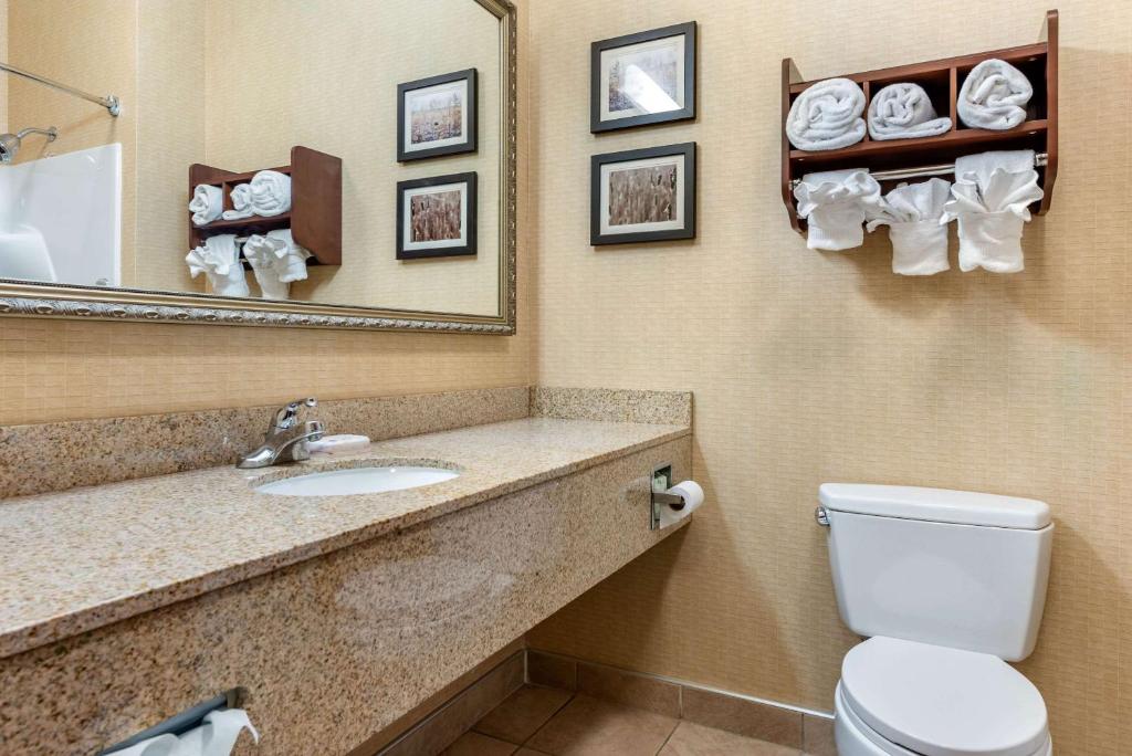 Comfort Suites South Elkhart - image 5