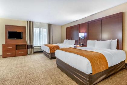 Comfort Suites South Elkhart - image 6