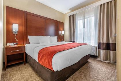 Comfort Suites South Elkhart - image 8