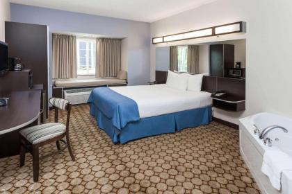 Microtel Inn and Suites Elkhart - image 10