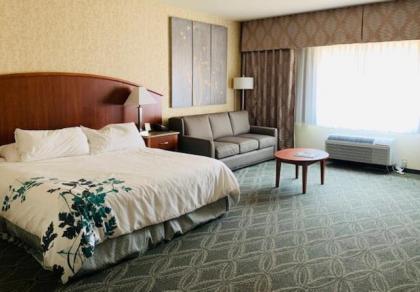 Wingate by Wyndham Elkins - image 5