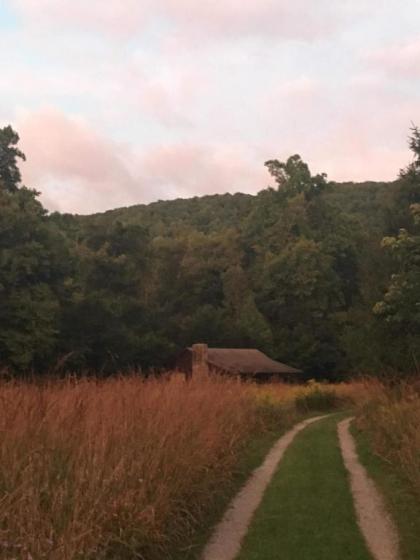 Whispering Meadow - image 13