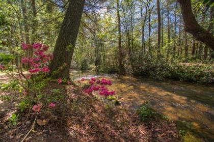 At Last Ellijay Georgia