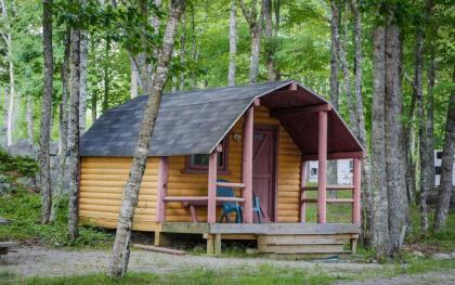 Patten Pond Camping Resort Cabin 5