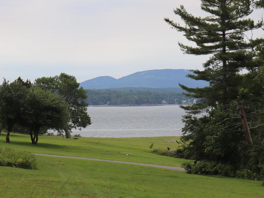 Tentrr State Parks - Lamoine State Park - image 5