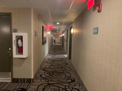 Red Carpet Inn Elmwood - image 15