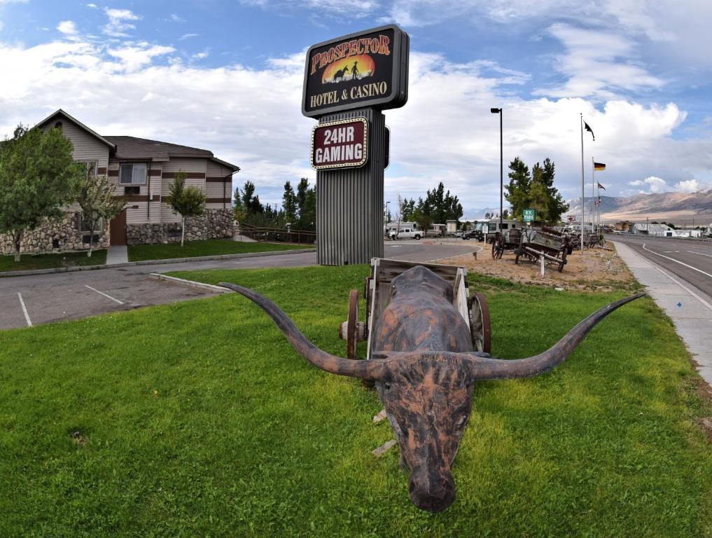 Prospector Hotel & Casino - image 2