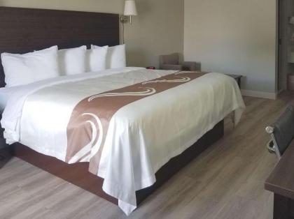 Quality Inn - image 7