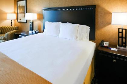 Holiday Inn Express Hotel & Suites Ennis an IHG Hotel - image 8