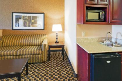 Holiday Inn Express Hotel & Suites Ennis an IHG Hotel - image 9