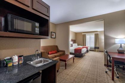 Comfort Suites Ennis - image 10
