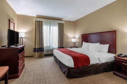 Comfort Suites Ennis - image 12