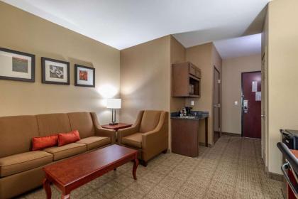 Comfort Suites Ennis - image 13