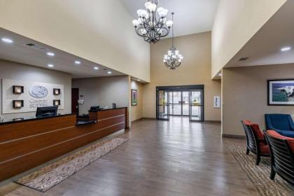 Comfort Suites Ennis - image 15