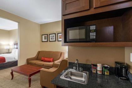 Comfort Suites Ennis - image 2