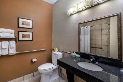 Comfort Suites Ennis - image 4