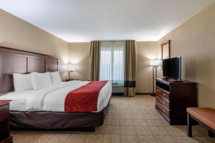 Comfort Suites Ennis - image 5