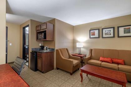 Comfort Suites Ennis - image 6