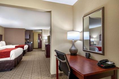 Comfort Suites Ennis - image 7