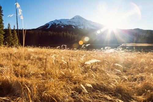 Big Horn 62 - image 4