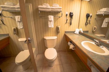 Eagle's View Inn & Suites - image 4