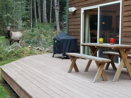 Cozy Studio Apartment - image 6