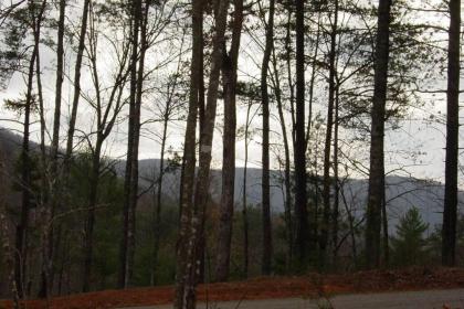 Cherokee Dream mountain Lodge Epworth Georgia