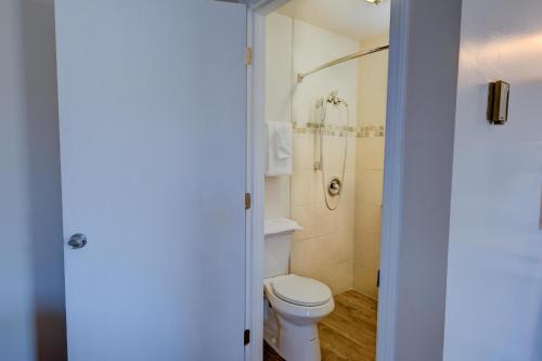 Estes Mountain Lodge - image 2