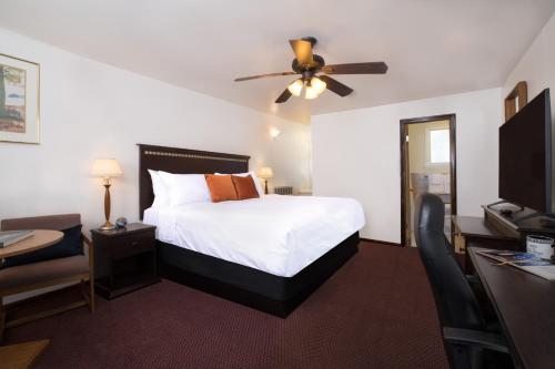 Twin Owls Motor Lodge - main image
