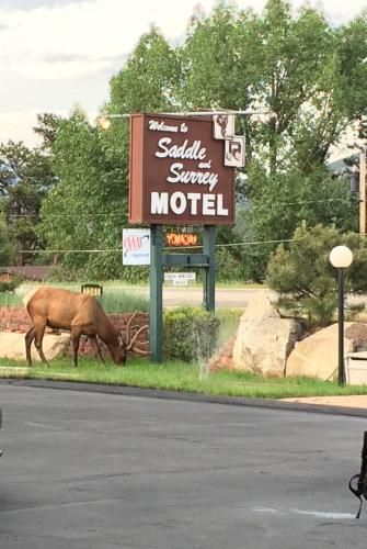 Saddle & Surrey Motel - main image